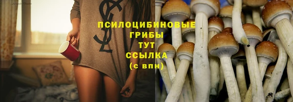 стаф Ладушкин
