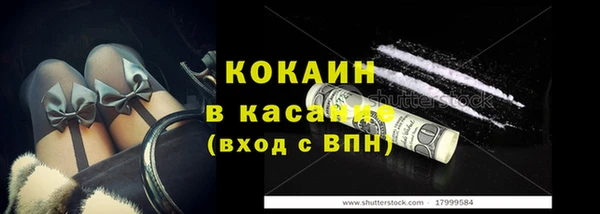 стаф Ладушкин