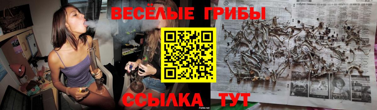 Псилоцибиновые грибы Cubensis Павловский Посад