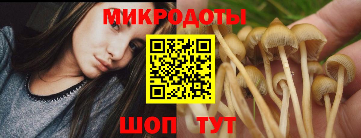 цена   Вход с VPN  Псилоцибиновые грибы Psilocybe  Павловский Посад  Галлюциногенные грибы GOLDEN TEACHER 